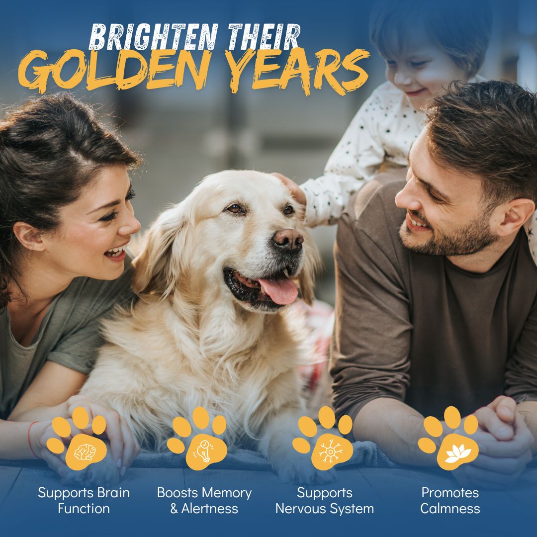 CogniCaps Canine Cognitive Function Supplement for Dogs – photo 3 of 8
