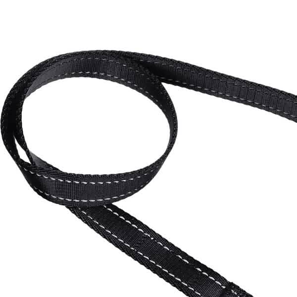 5 Foot Padded Single Handle Dog Leash Black – photo 5 of 5
