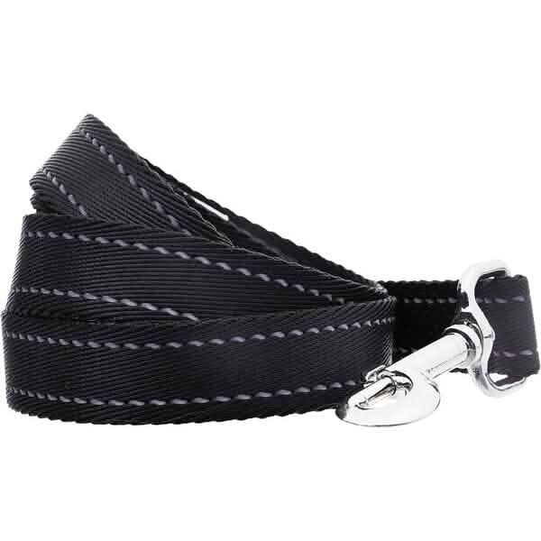 5 Foot Padded Single Handle Dog Leash Black – photo 4 of 5