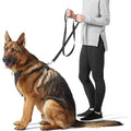 5 Foot Padded Single Handle Dog Leash Black – photo 1 of 5