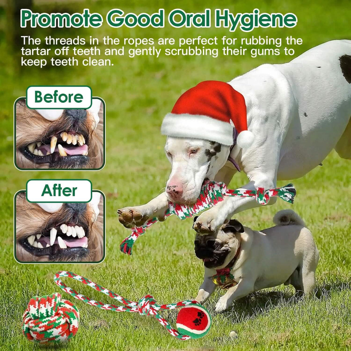 Christmas Dog Rope Chew Toys 5 Pieces – photo 6 of 12