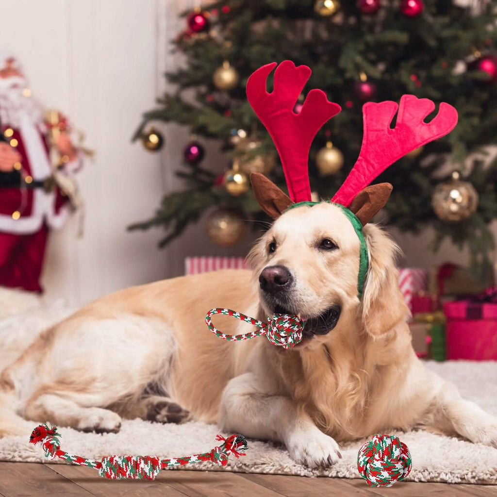 Christmas Dog Rope Chew Toys 5 Pieces – photo 11 of 12