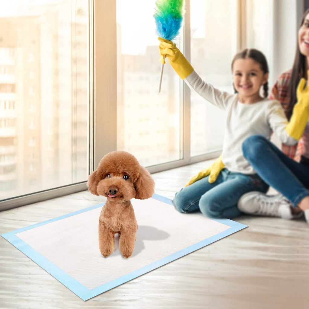 Dog Training Pads – 50 Piece – detail