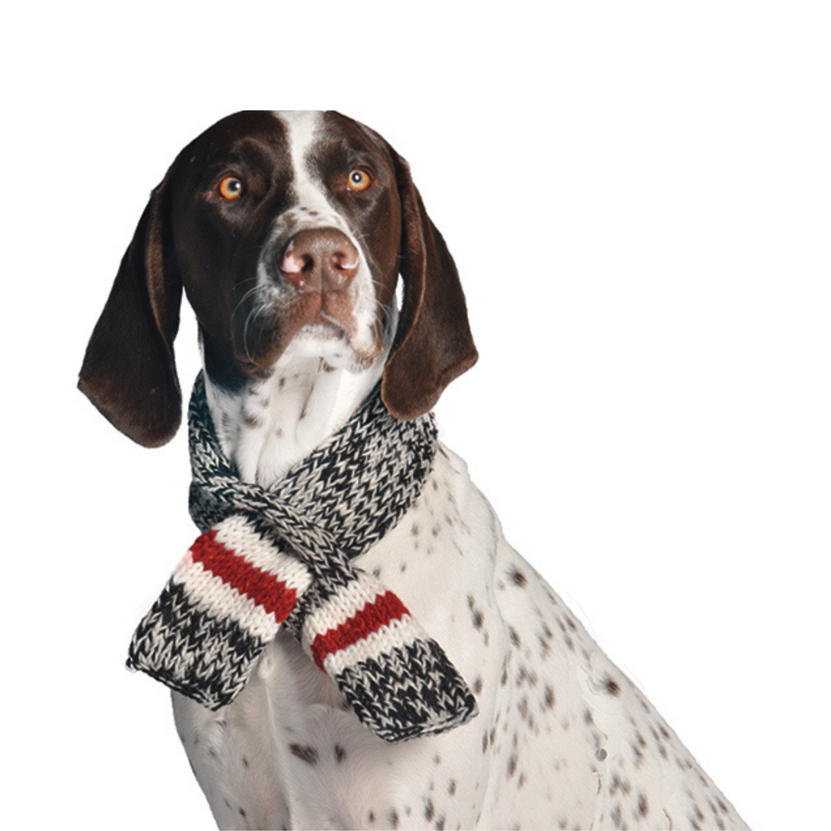 Boyfriend Scarf Red and White Wool – photo 2 of 4