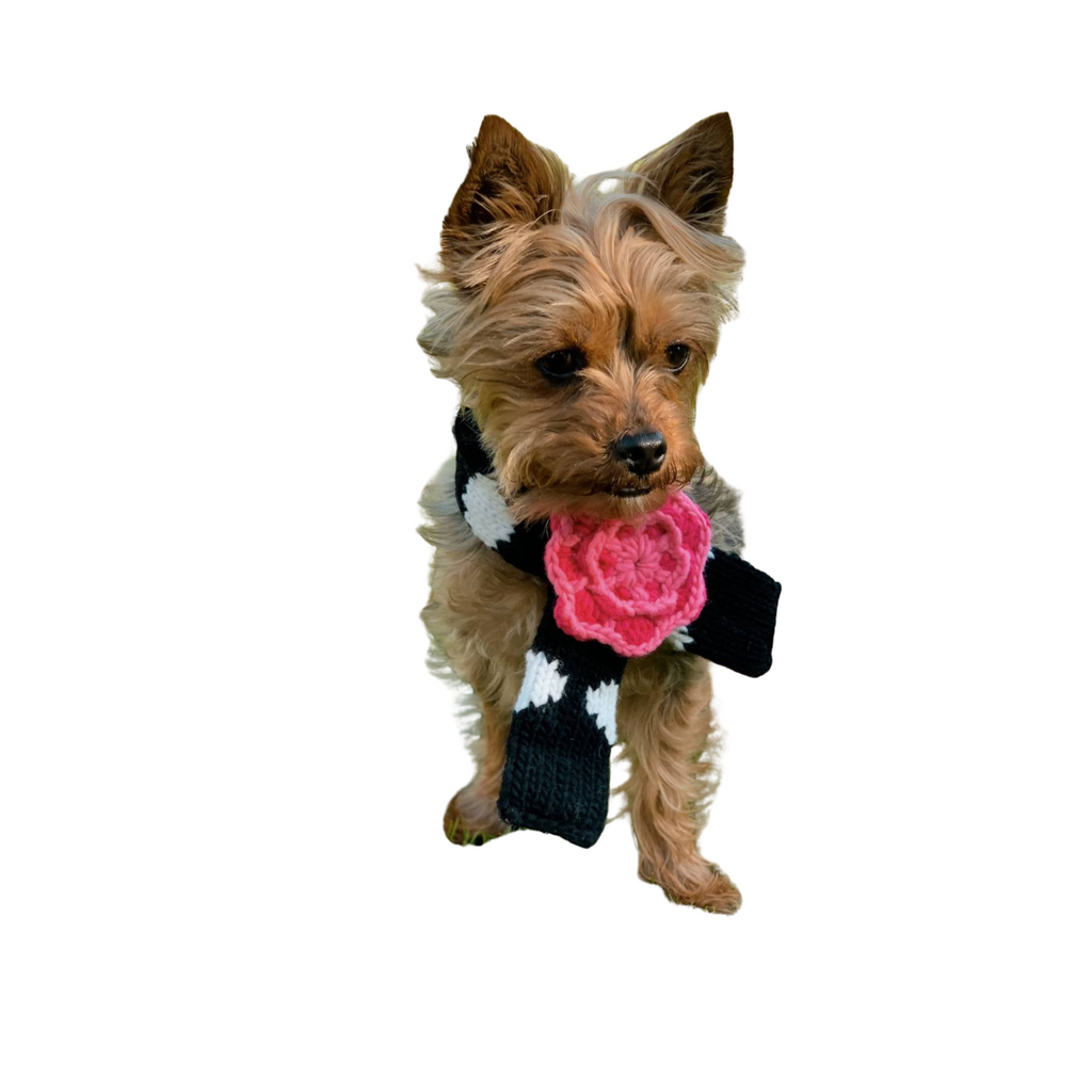Black Polka Dot Flower Dog Scarf Hand Knit 100 Percent Wool – photo 3 of 3