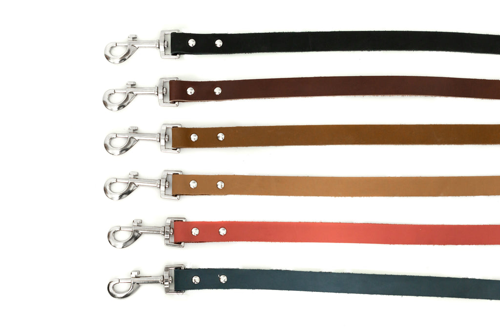 Modern Style Leather Dog Leash – front view