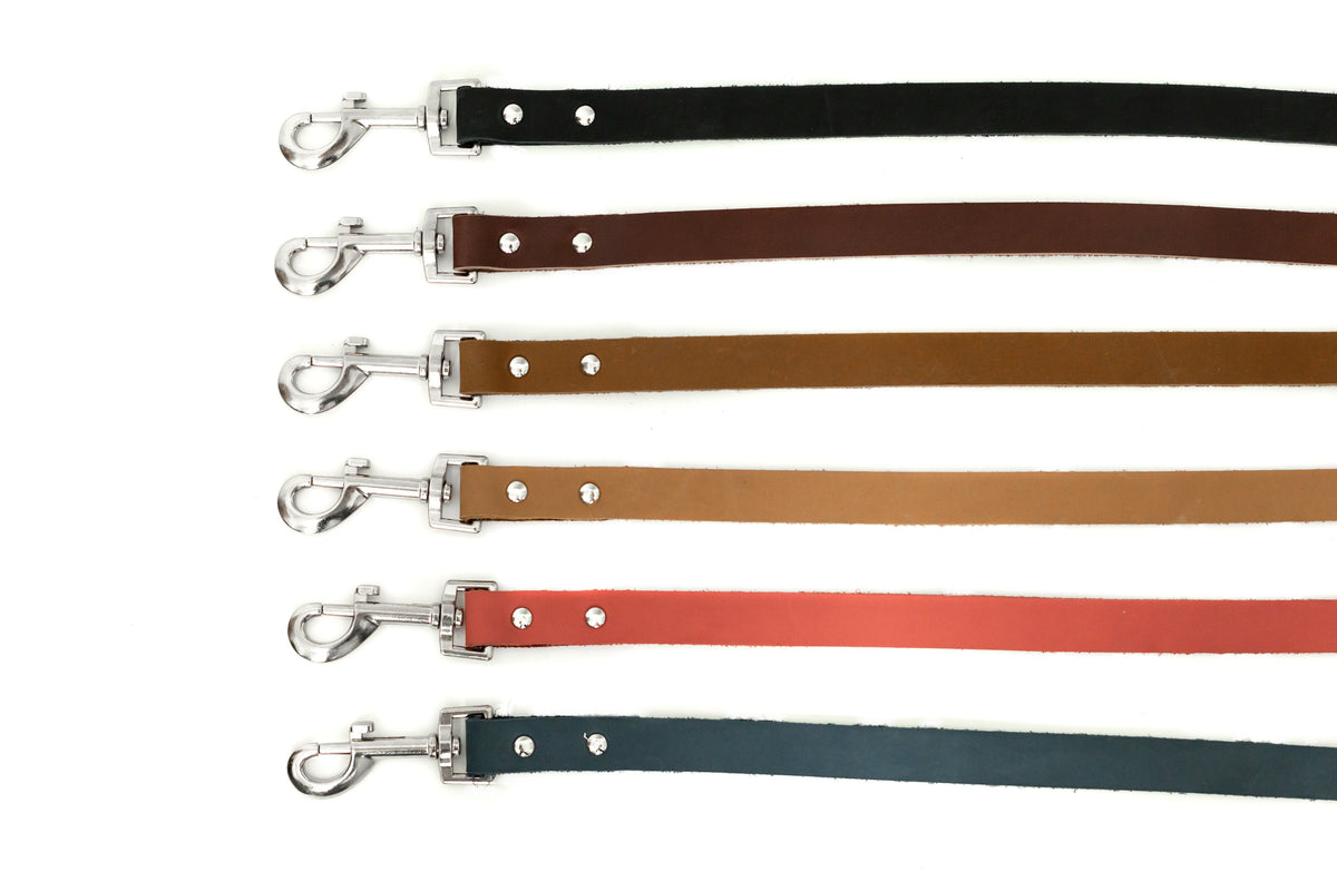 Modern Style Leather Dog Leash – front view