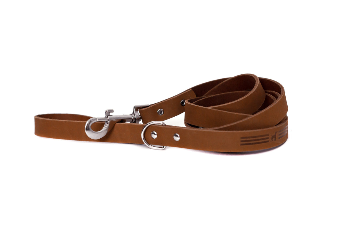Modern Style Leather Dog Leash – alternate view 3