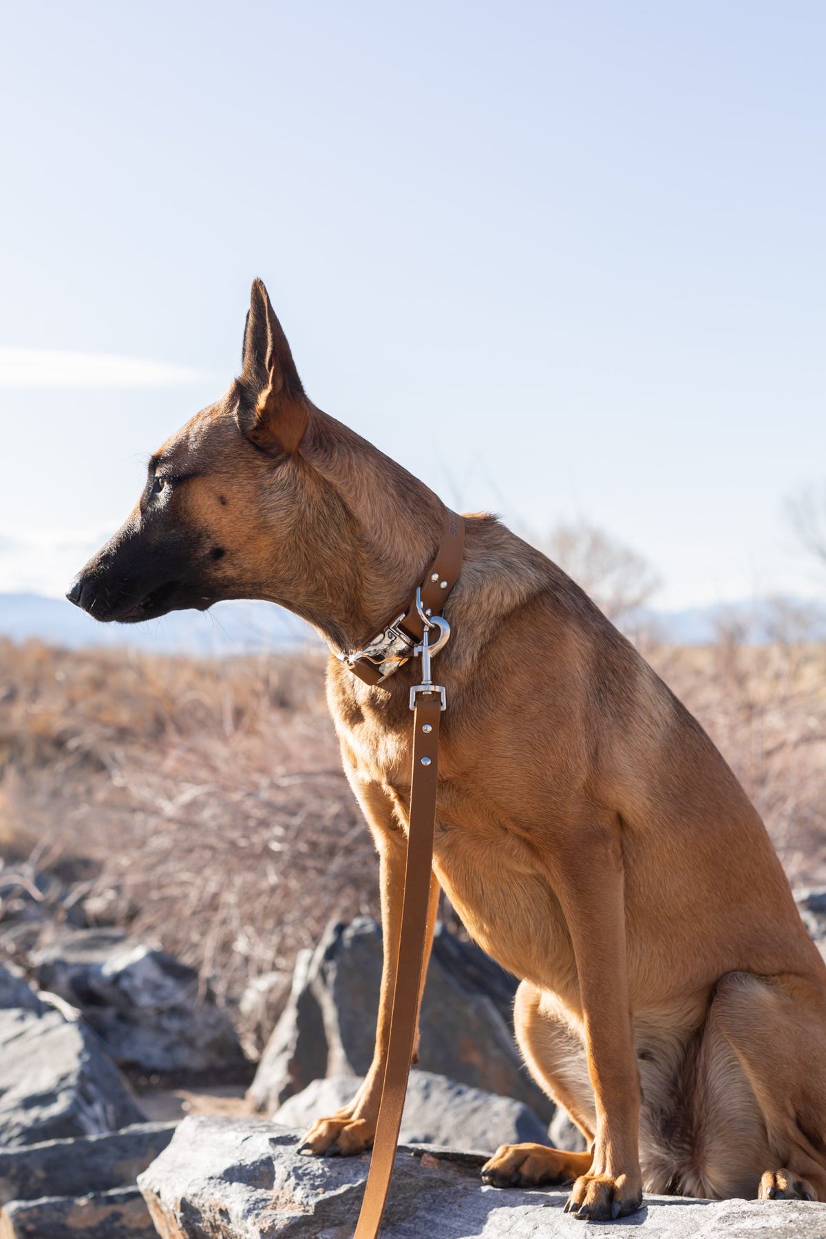 Modern Style Leather Dog Leash – alternate view 9