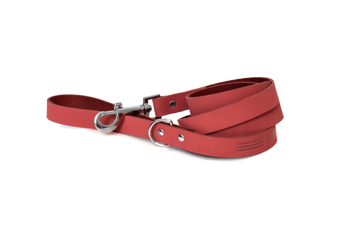 Modern Style Leather Dog Leash – alternate view 5