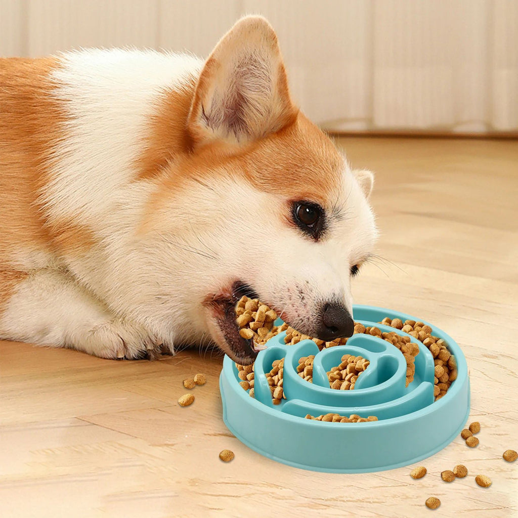 Maze Slow Feeder Bowl for Dogs & Cats – Non-Slip, 20.5cm – alternate view 6