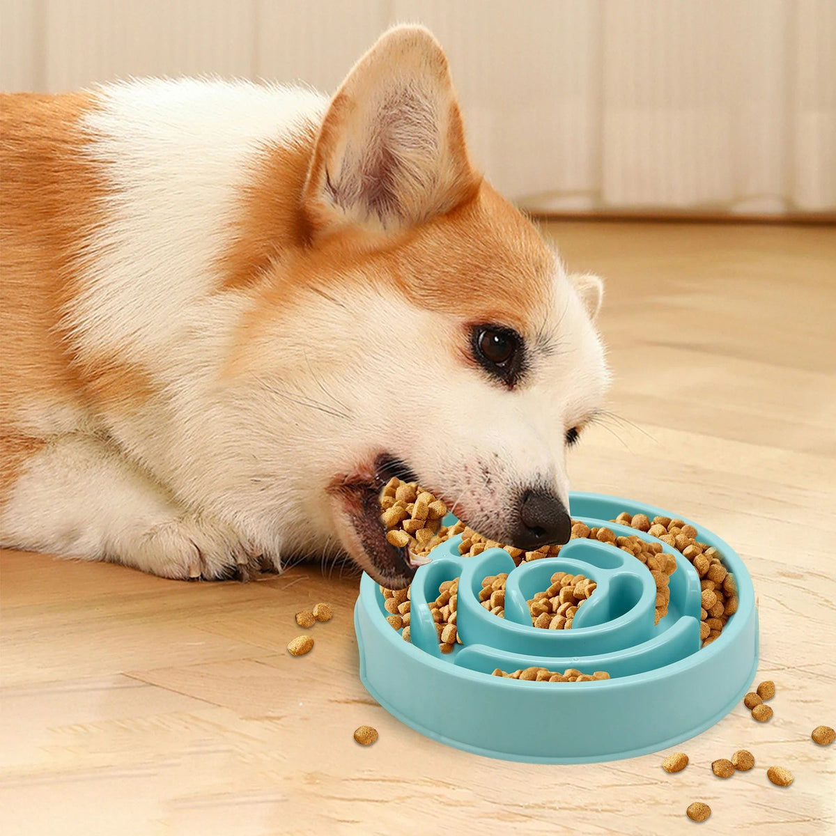 Maze Slow Feeder Bowl for Dogs & Cats – Non-Slip, 20.5cm – alternate view 6