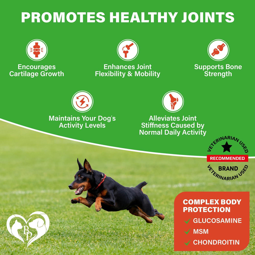 Dog Hip and Joint Chews Glucosamine Chondroitin MSM Turmeric – photo 2 of 8