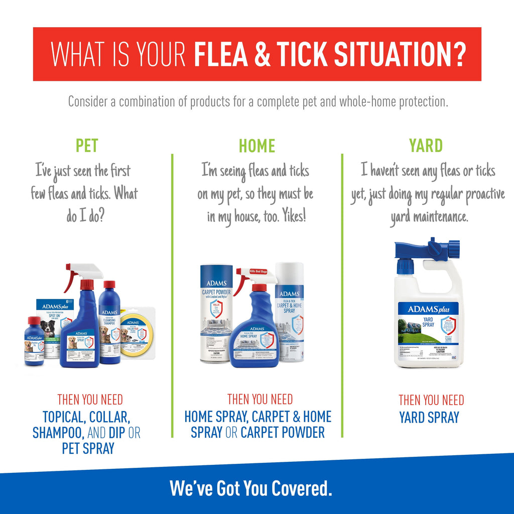 Keep Your Dog Happy and Flea-Free with Adams Plus Flea  Tick Foaming S, lifestyle