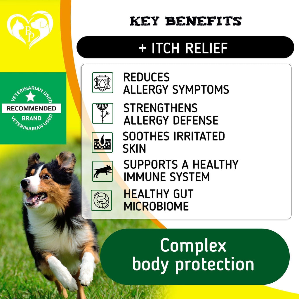 Dog Allergy Relief Chews Salmon Omega-3 Probiotics – photo 2 of 6