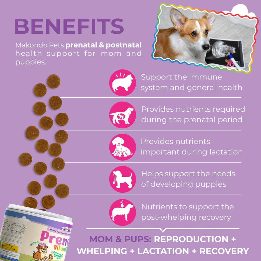 Dog Prenatal Vitamins 120 Soft Chews Folic Acid DHA EPA – photo 2 of 9