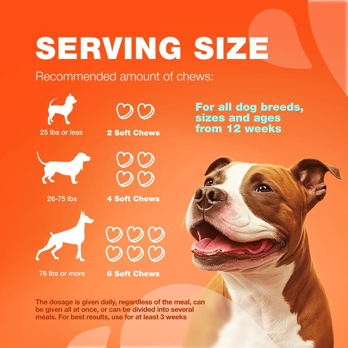 Glucosamine Joint Supplement for Dogs – Hip & Mobility Chews – alternate view 8
