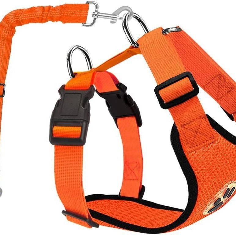 Reflective Dog Leash – Small & Medium Dogs – alternate view 4
