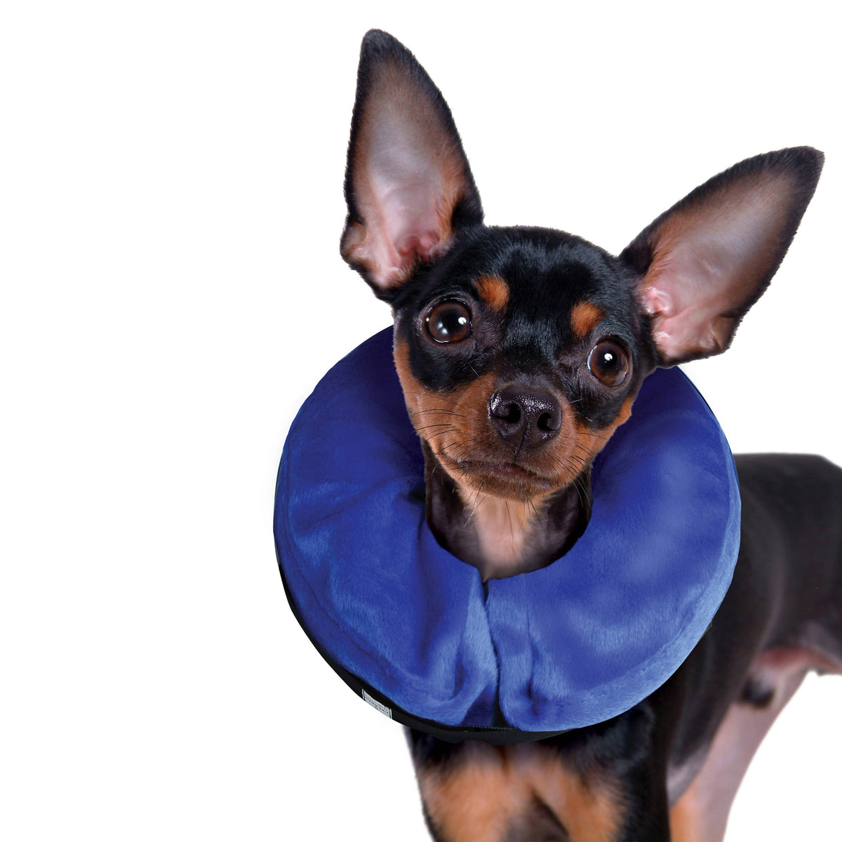 KONG® E-Collar Cloud® Small – alternate view 4
