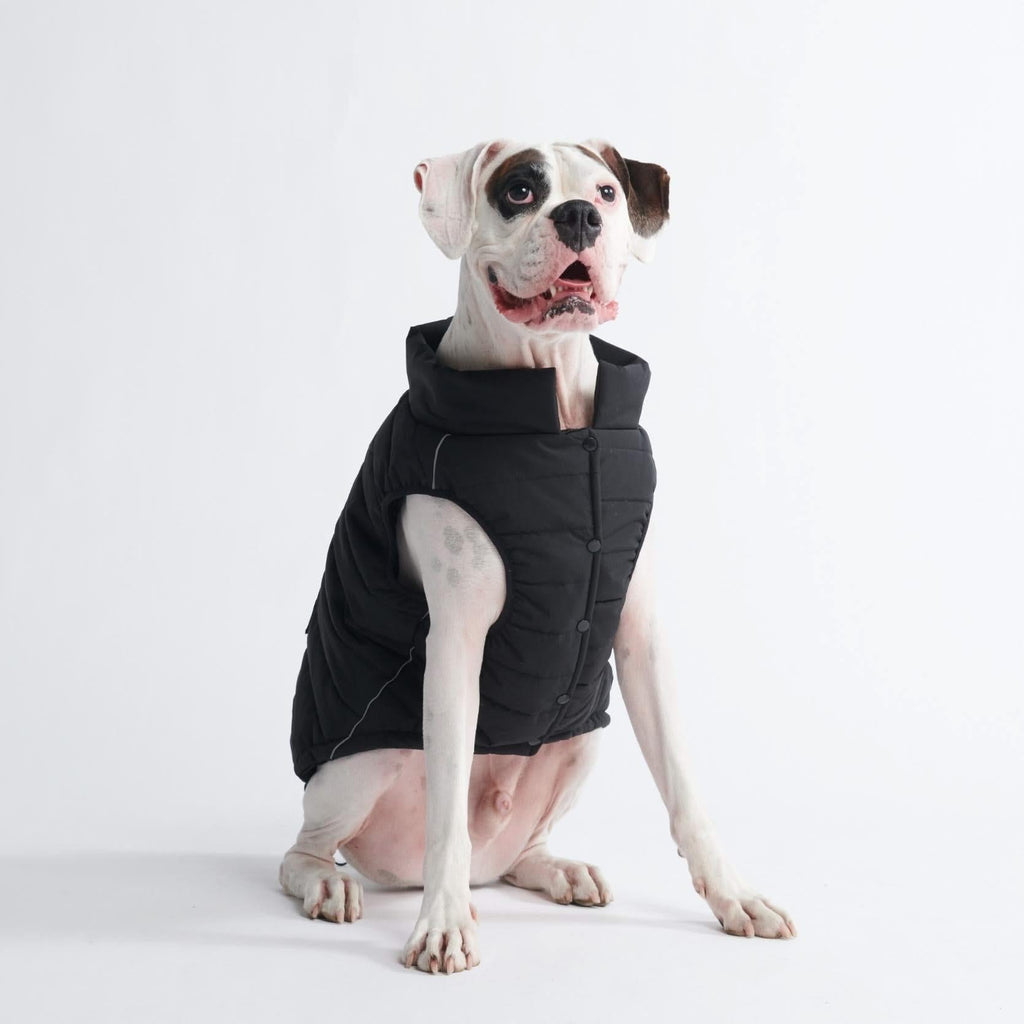 WarmShield Water-Resistant Dog Jacket – Black – alternate view 8