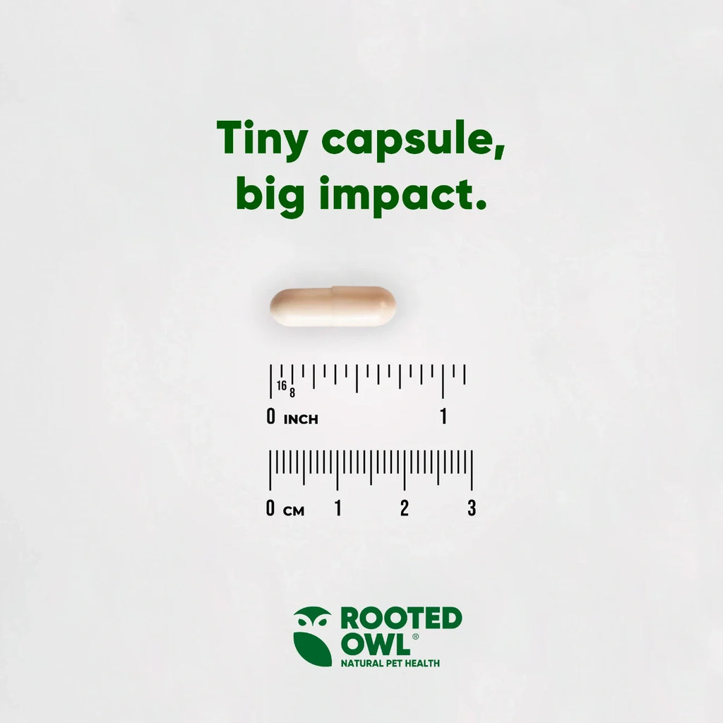 Rooted Owl Cardio Support supplement for dogs – photo 5 of 9
