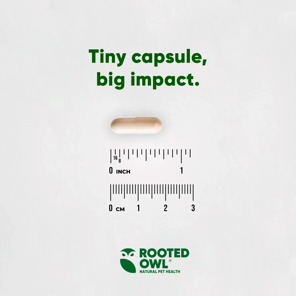 Rooted Owl Cardio Support supplement for dogs – photo 5 of 9