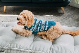 Alpaca Teal Fair Isle Dog Sweater Teal Gray and Cream – photo 5 of 6