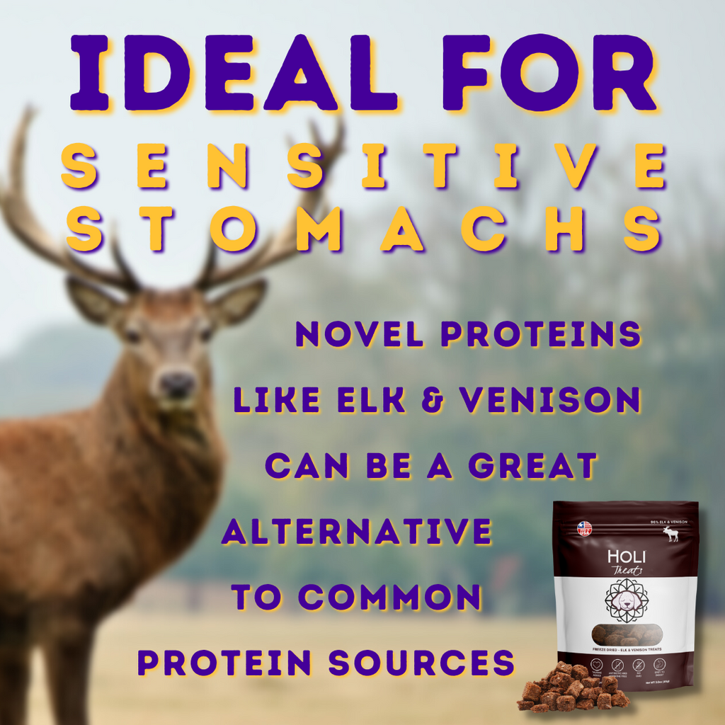 HOLI free-range elk and venison freeze-dried dog treats – photo 3 of 9