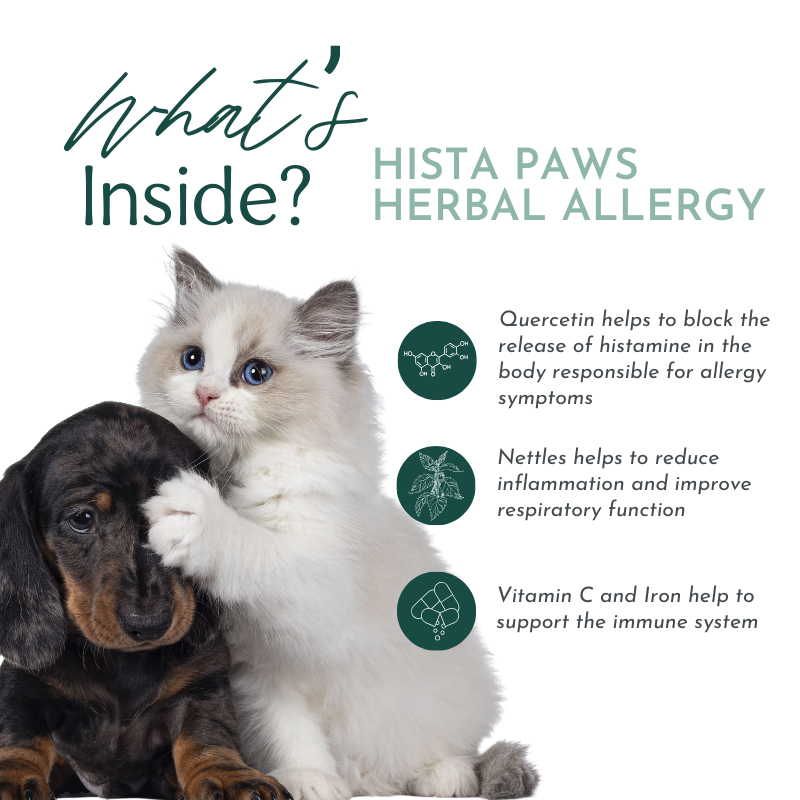 Hista Paws with Quercetin Allergy Support by Dr. Ruth Roberts – photo 6 of 14
