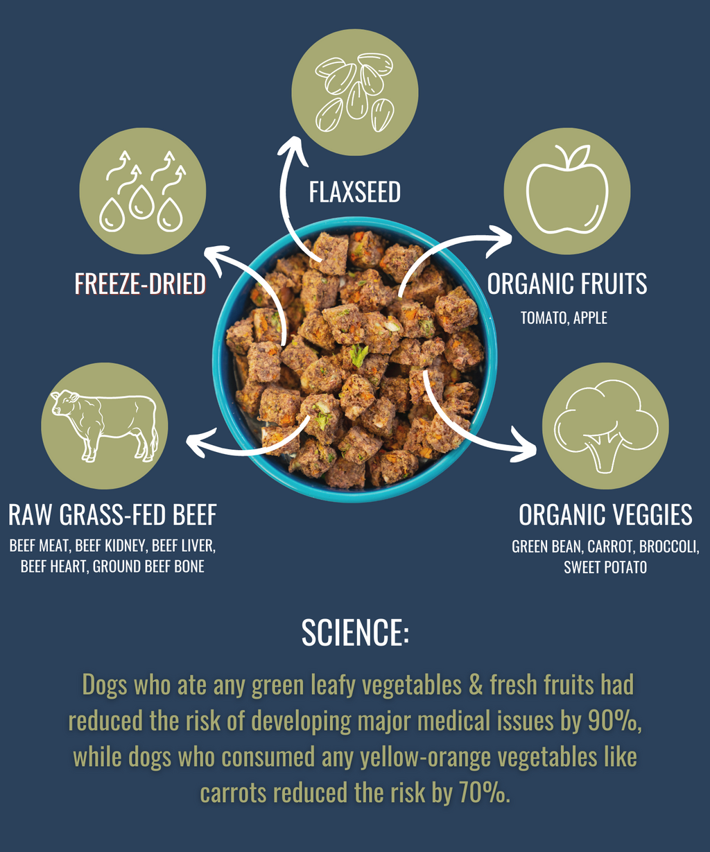 Freeze-Dried Raw Beef Dog Food – Single Ingredient – alternate view 9