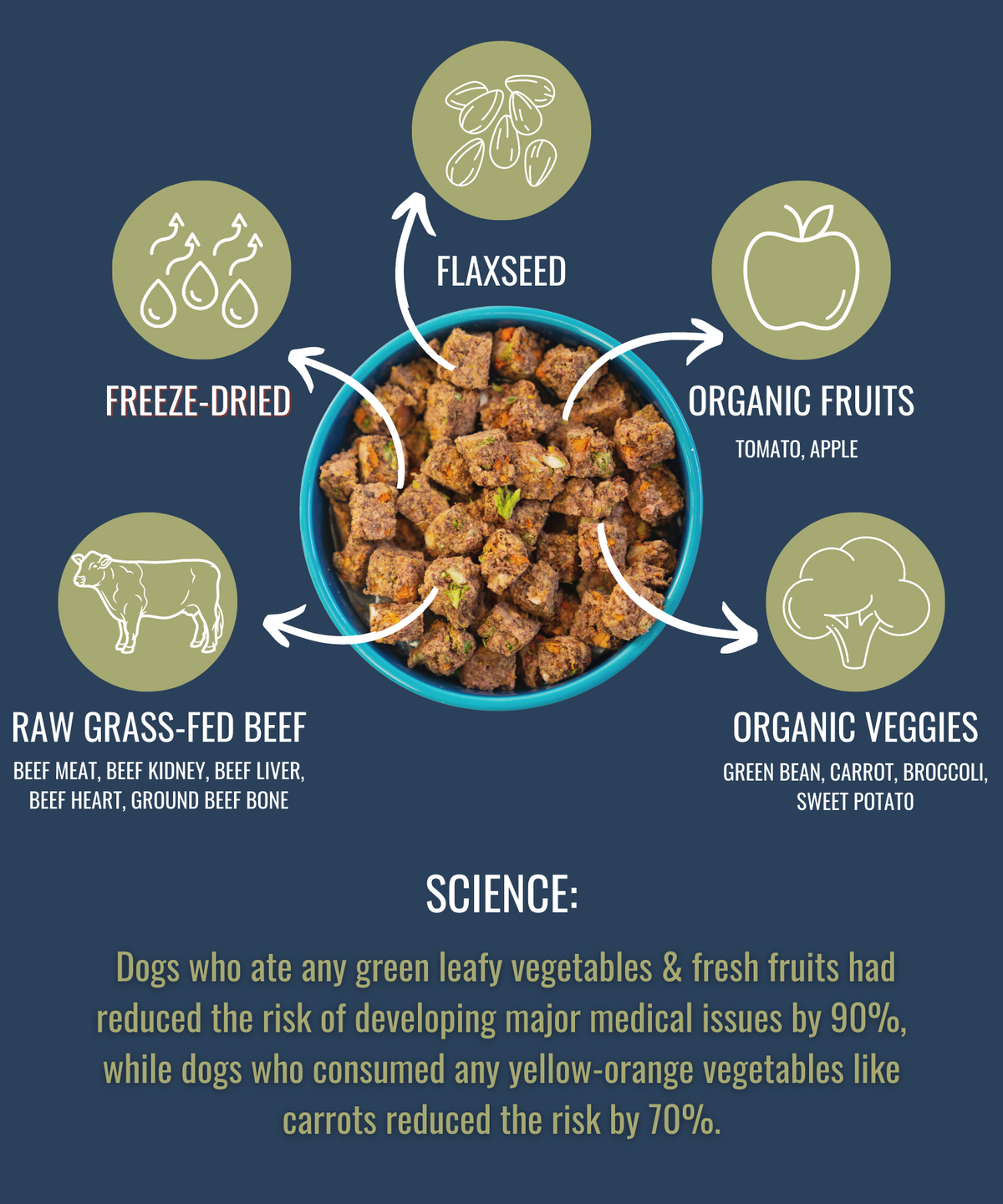 Freeze-Dried Raw Beef Dog Food – Single Ingredient – alternate view 9