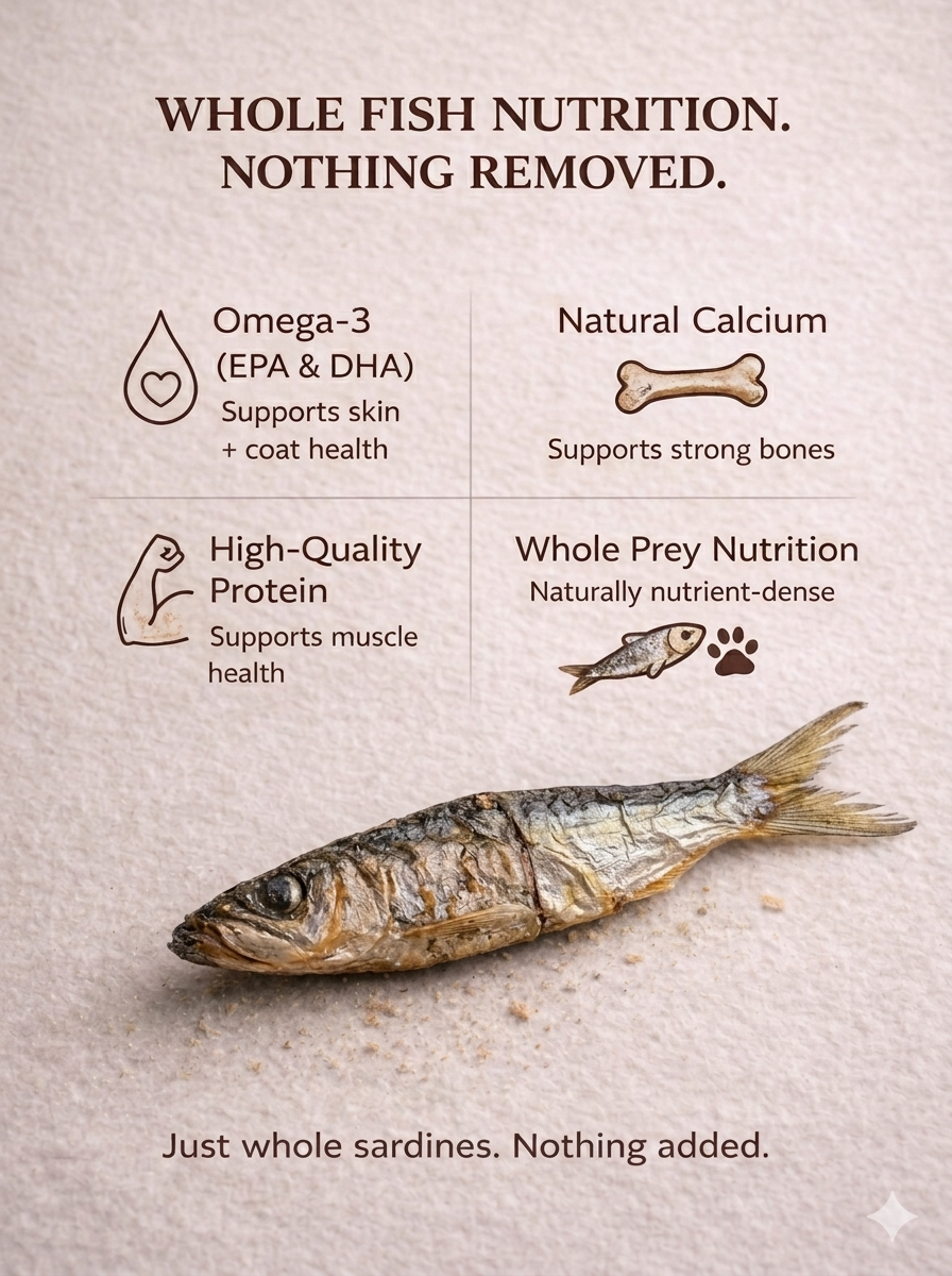 Sardines Omega-Rich Treat for Dogs & Cats – alternate view 5