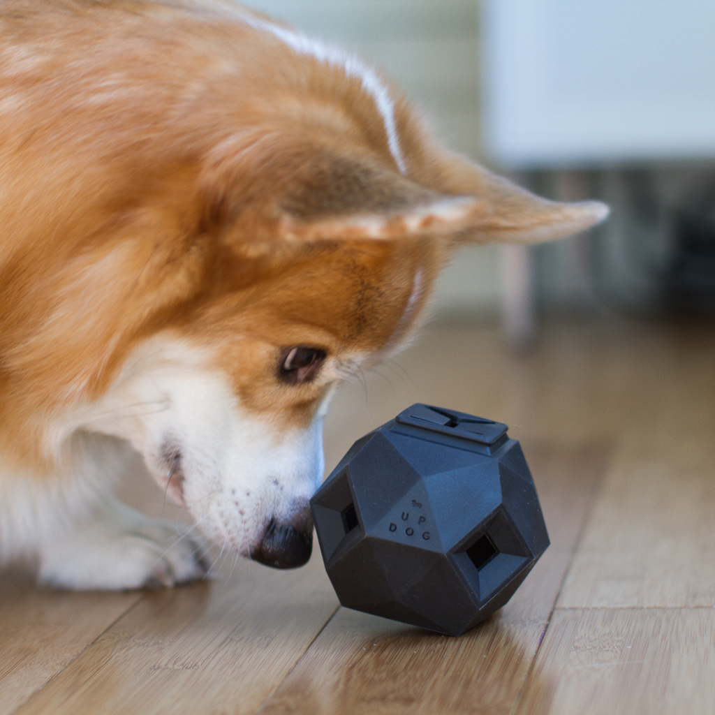 Odin Treat Dispensing Dog Toy – alternate view 3