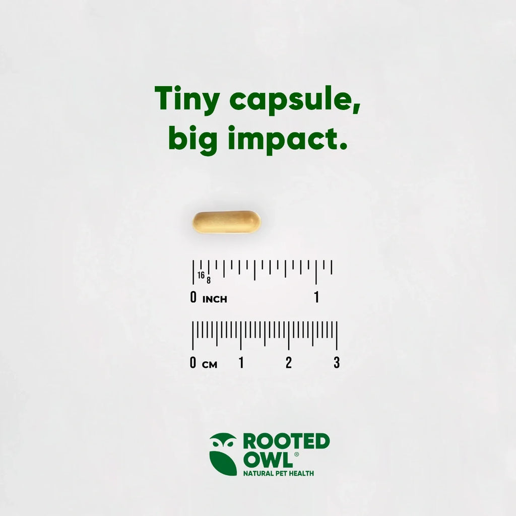 Rooted Owl Liver Support supplement for dogs with milk thistle – photo 5 of 9