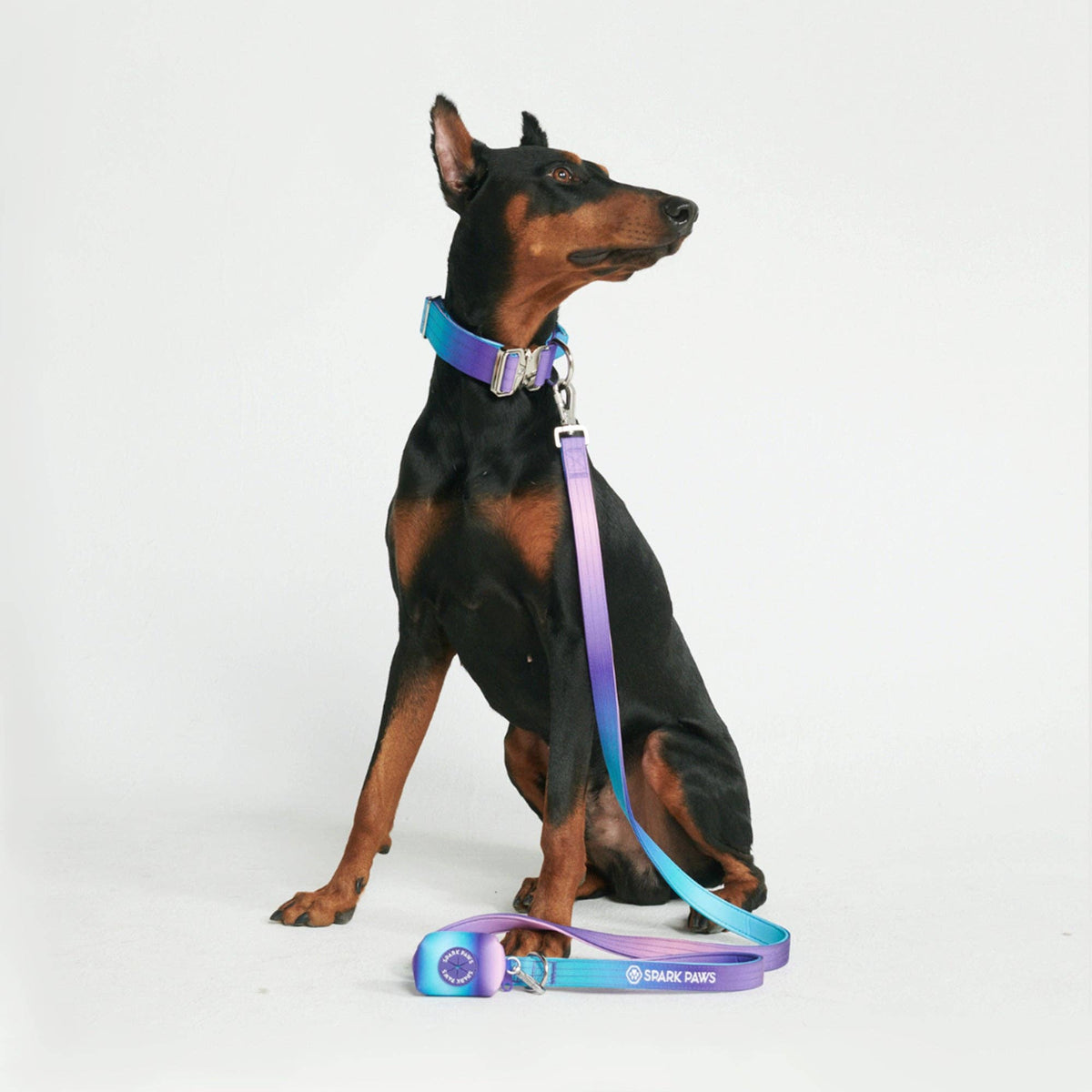 Comfort Control Dog Leash – 90s Retro, OS – alternate view 4