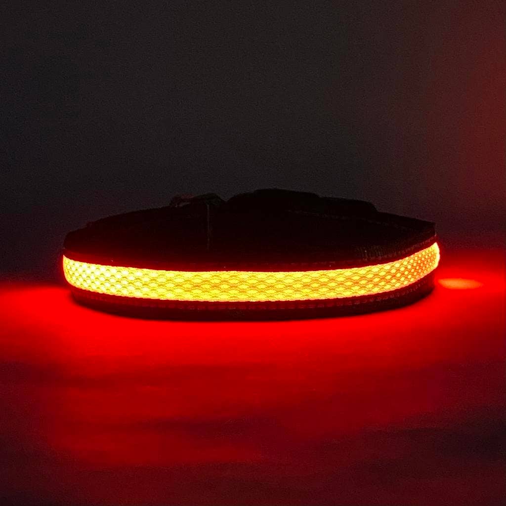 LED Dog Collar: Red – front view