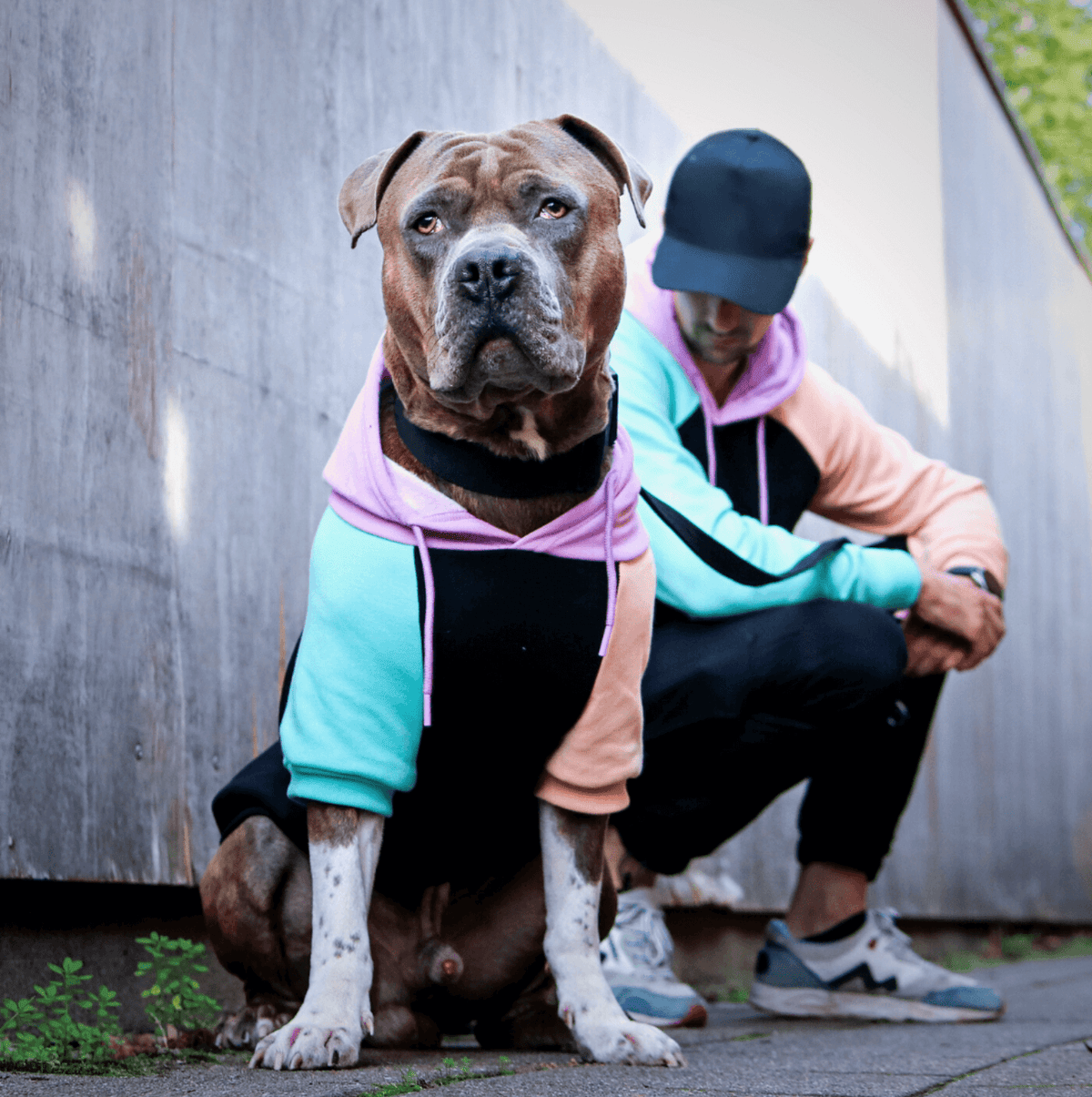 Cyber Punk Dog Hoodie – alternate view 5