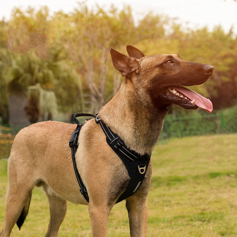 Nylon Dog Chest Strap Harness Orange Purple – photo 3 of 10