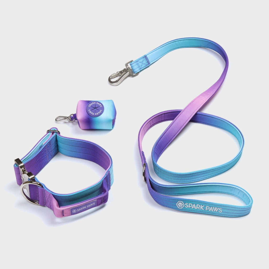Comfort Control Dog Leash – 90s Retro, OS – alternate view 2