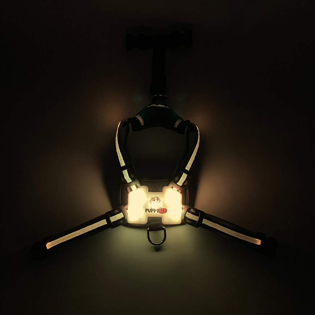 LED Dog Harness – alternate view 15