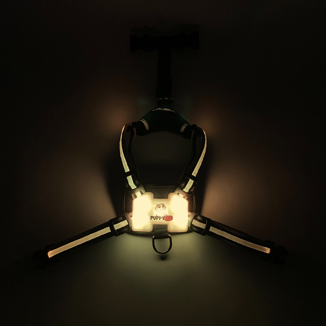 LED Dog Harness – alternate view 15