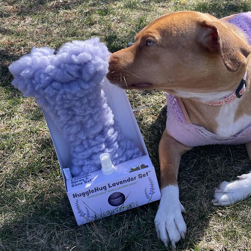 HuggleHug Lavender Bone  2oz Calming Spray Dog Toy Set, packaging
