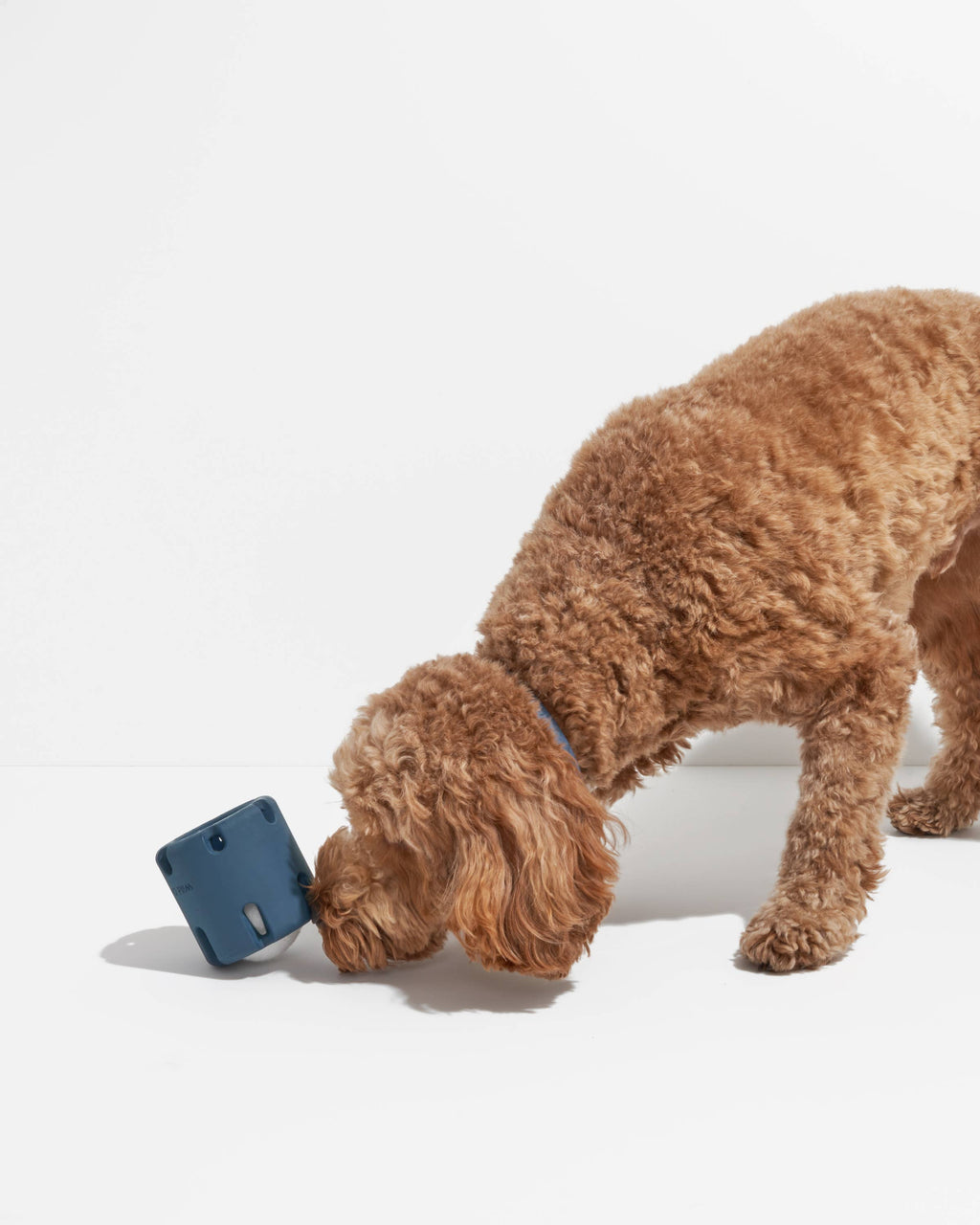 Tennis Tumble Interactive Dog Toy – Moonstone – alternate view 6