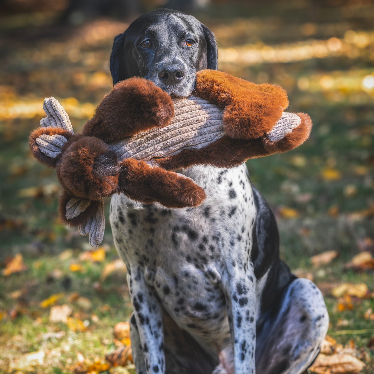 Maple Moose X-Brace Durable Plush Dog Toy, packaging