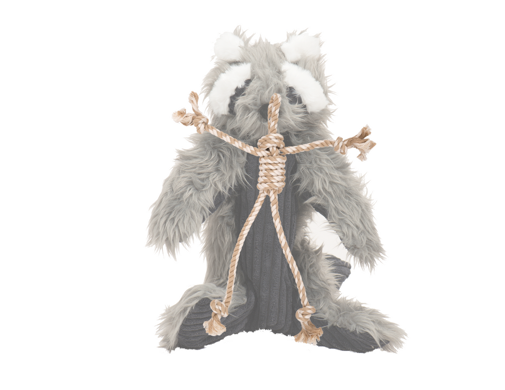 Redwood Raccoon X-Brace Plush Dog Toy, close-up