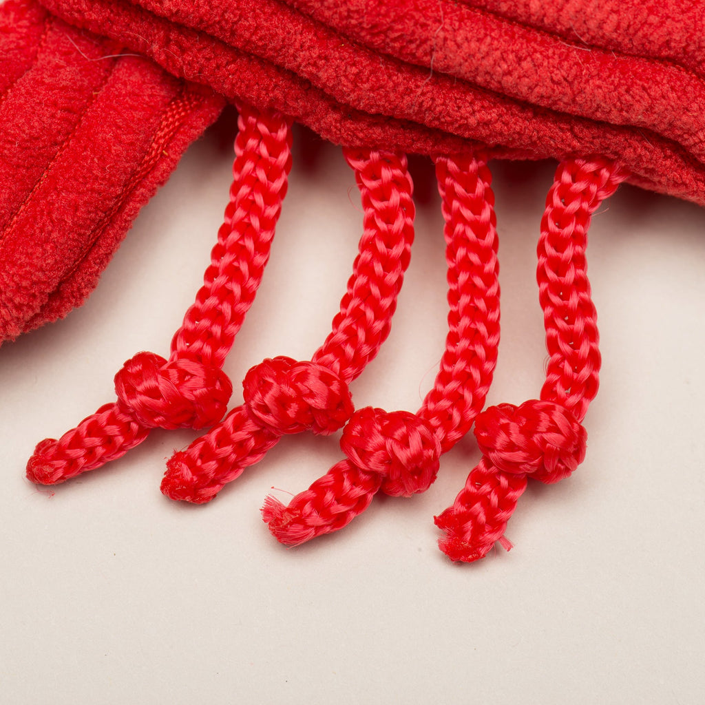 Raw Bar Wee Huggles Plush Dog Toys 3 pack, close-up