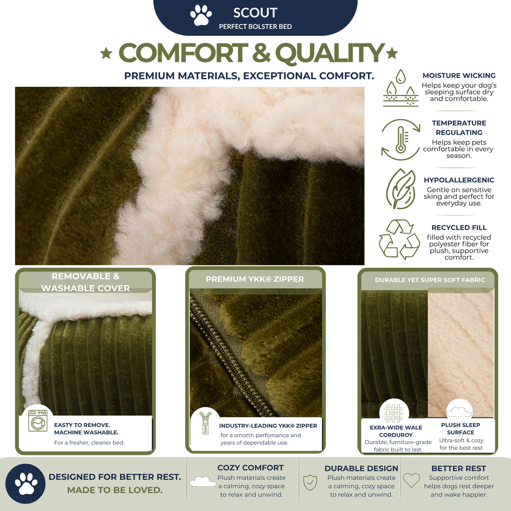 Scout Perfect Bolster Dog Bed, view 15