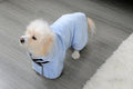 Dog Bathrobe Absorbent Drying Towel Wrap Pet Zen – photo 11 of 13
