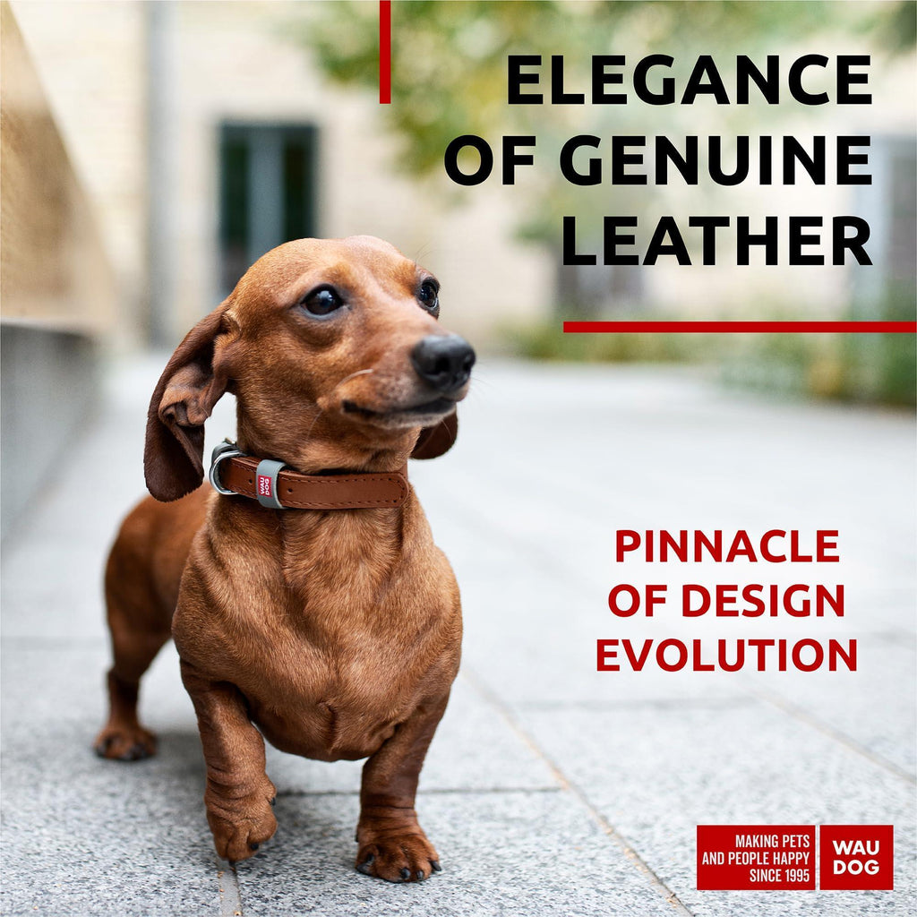 Genuine Leather Dog Collar with Smart QR Tag XSmall – photo 2 of 5