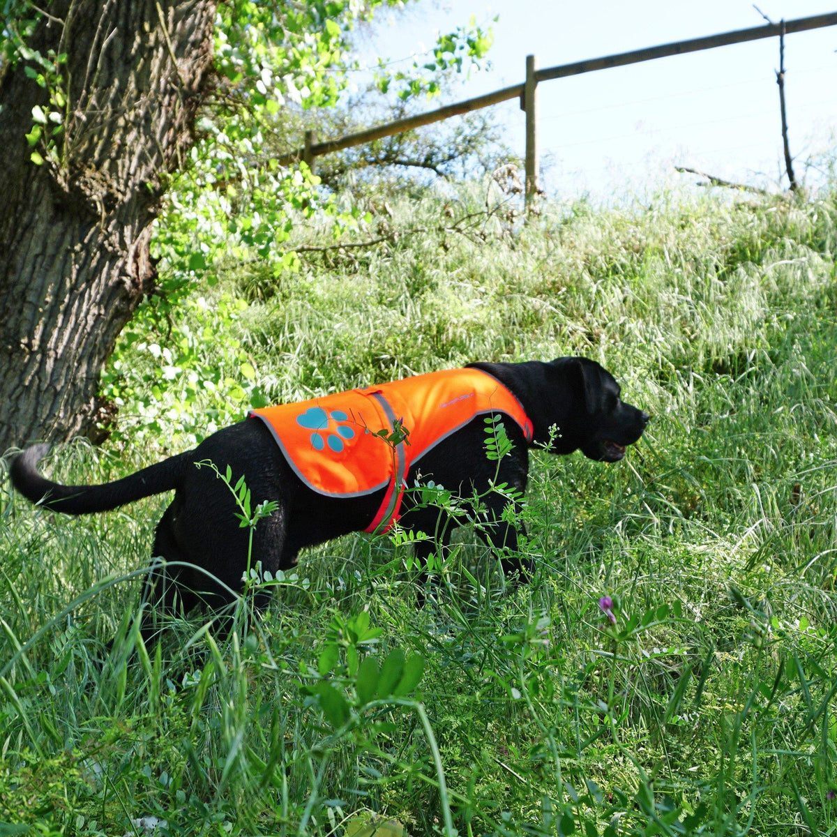 SafetyPUP Reflective Dog Vest XL Blaze Orange – photo 7 of 7